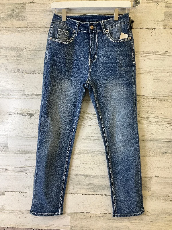 Blue Denim Jeans Straight Clothes Mentor, Size 4